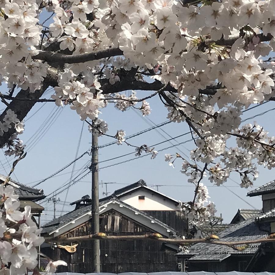 ゲストハウス 縁 近江八幡市 エクステリア 写真